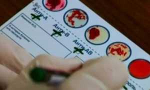 Группы крови совместимость для переливания и зачатия