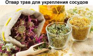 Травы для сердца и сосудов, помогающие при варикозе вен на ногах