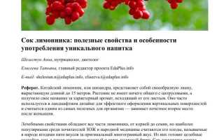 Польза для здоровья лимонника
