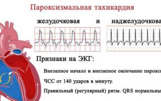 Лечение аритмии и тахикардии народными средствами