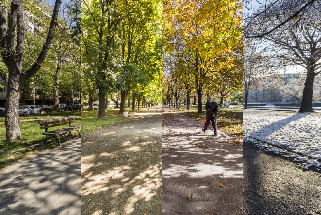 Четыре сезона в одном парке