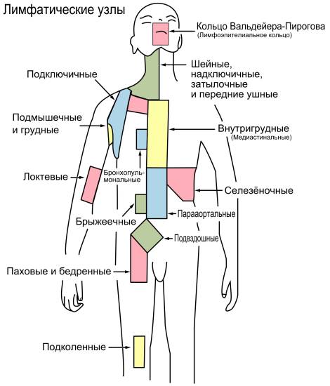 патологии лимфотической системы