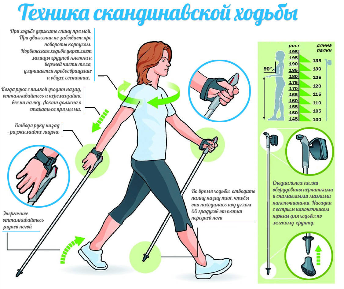 скандинавская ходьба