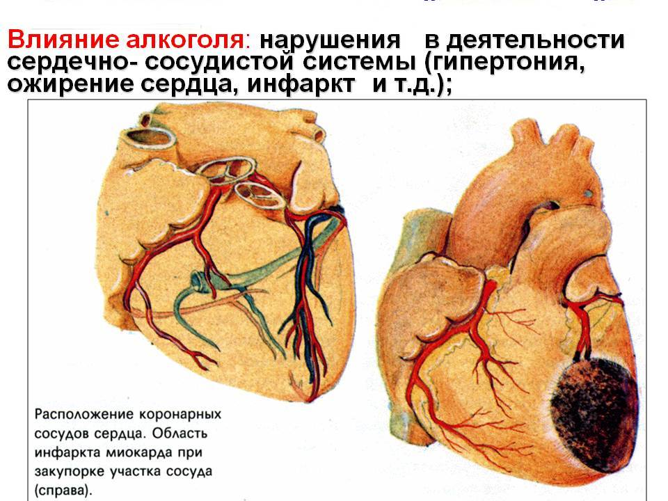 влияние алкоголя