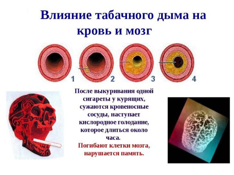 влияние табачного дыма