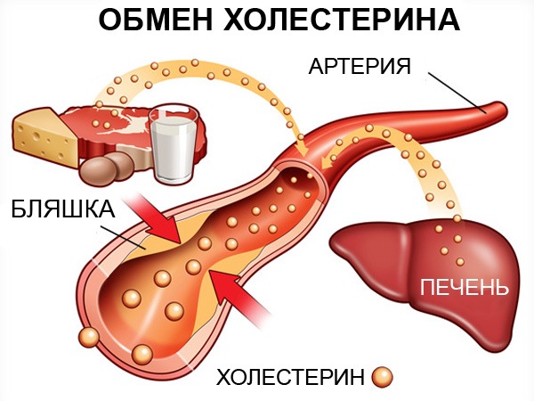 вредного холестерина