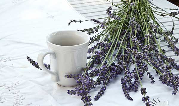 чашка и лаванда