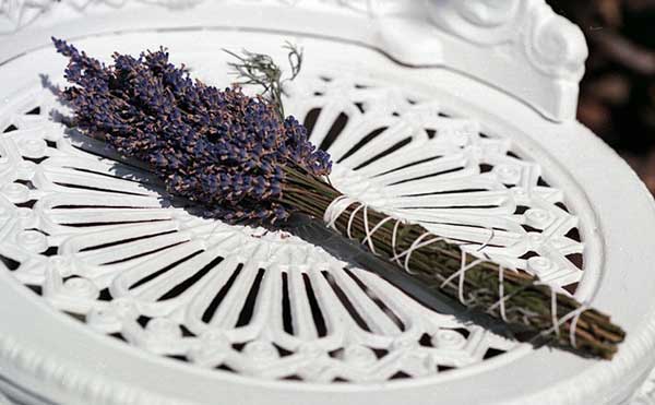 пучок лаванды