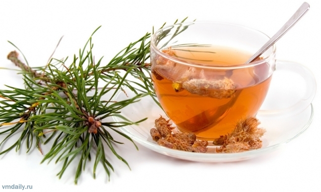 Хвойный отвар