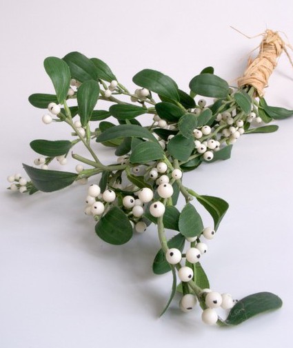 Омела белая