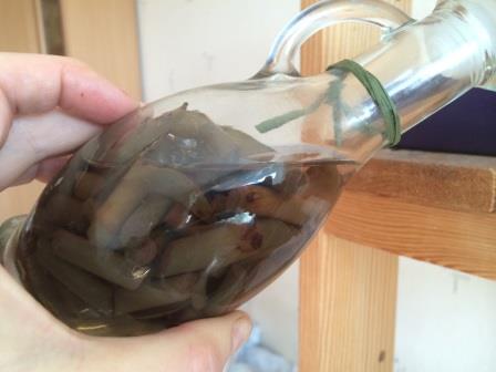 Спиртовая настойка золотого уса