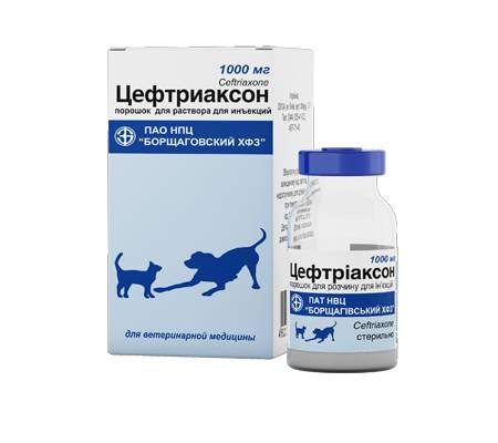 Цефтриаксон