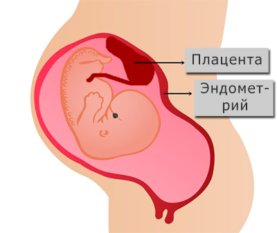 изменения во время беременности