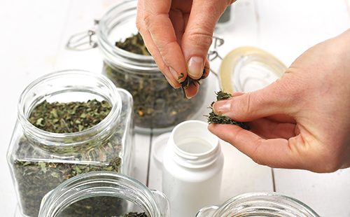 Эффективна ли красная щетка в лечении эндометриоза матки?